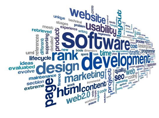 23229512 - software development concept in tag cloud on white background